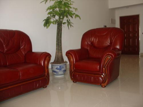 廣州沙發(fā)維修熱線圖片/廣州沙發(fā)維修熱線樣板圖 (4)