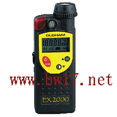 北京氣體檢測儀圖片