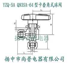 销售Q93SA64型双卡套角式球阀图片