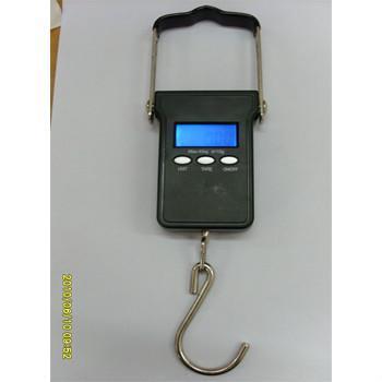 上海青浦太陽(yáng)能電子計(jì)價(jià)小吊秤圖片