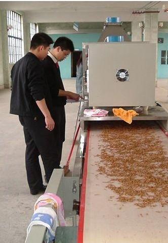 供應(yīng)河北滄州邯鄲土元土元黃粉蟲收售