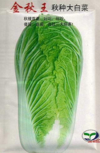 供應(yīng)秋白菜種子 北京新三號(hào)白菜種子 高產(chǎn)白菜品種 白菜種子代理