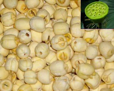 供應(yīng)洪湖*干蓮子米