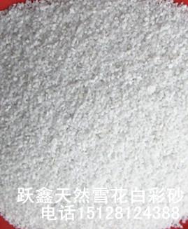 黑白染色彩砂圖片