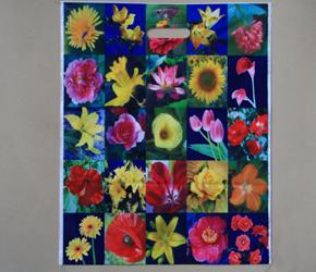 供應(yīng)服裝袋青島周氏塑料生產(chǎn)供應(yīng)