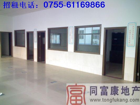 光明大小面積廠房出租—任你選光明廠房出租工業(yè)廠房