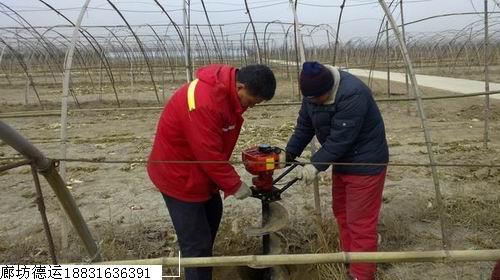 廊坊市大棚地锚挖坑机挖窝机厂家供应大棚地锚挖坑机挖窝机地锚打眼机