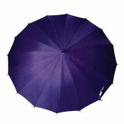 供應(yīng)山東德州雨傘廣告?zhèn)阌喿?  src=