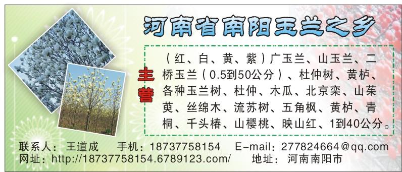 兩年圖片/兩年樣板圖 (2)