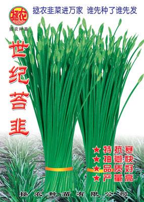 世紀(jì)苔韭圖片