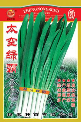 供應優(yōu)質雜交韭菜種子--太空綠霸