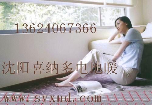 供應(yīng)沈陽學(xué)校工程電地?zé)?沈陽學(xué)校工程電地?zé)犭姴膳?  title=