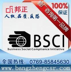 河源BSCI验厂辅导100通过图片