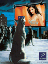 供應廣州立體光柵材料廠家立體制作