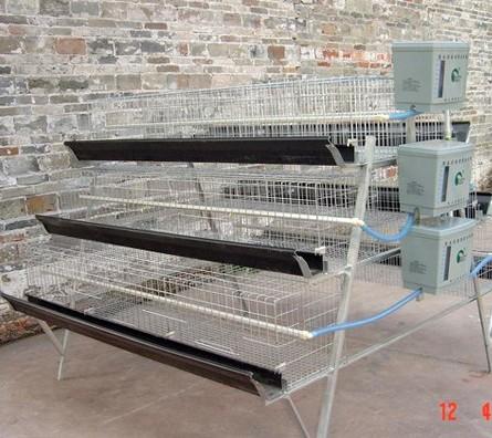 供應(yīng)安平雞籠專賣店