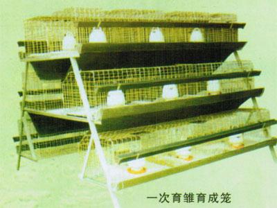 供應(yīng)安平雞籠專賣店