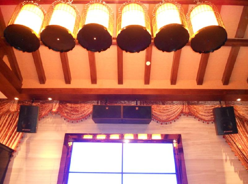 供應(yīng)LAS專業(yè)音響