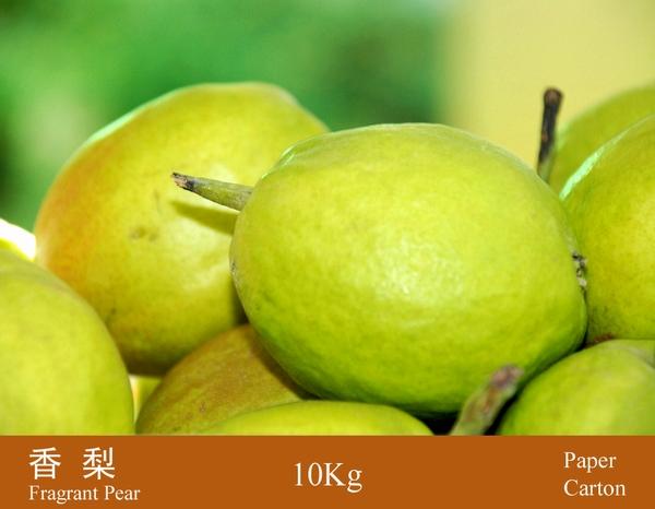 供應(yīng)烏孫鮮新疆香梨專賣