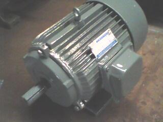 供應(yīng)多速電動機(jī)雙速電機(jī)