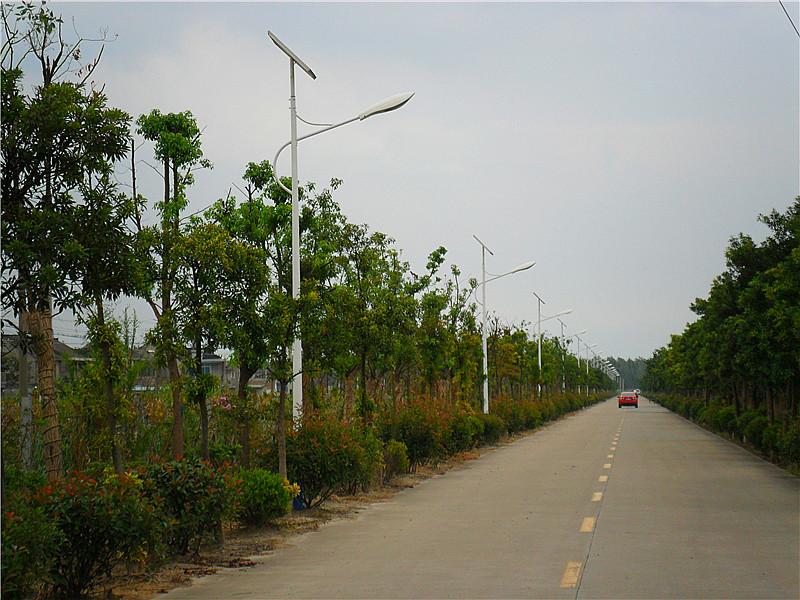 唐山太阳能路灯/唐山太阳能路灯价格/唐山太阳能路灯厂家图片