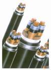 供應(yīng)內(nèi)蒙古電廠35KV高壓電纜