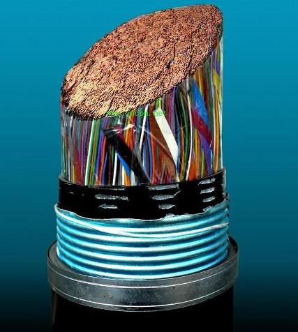 供應(yīng)上海黃浦電話線HYA鎧裝電纜