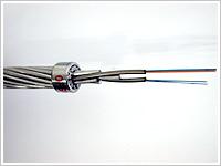 供應(yīng)現(xiàn)貨鋼芯鋁絞線50/8數(shù)量10噸 50/8重量 50/8價(jià)格