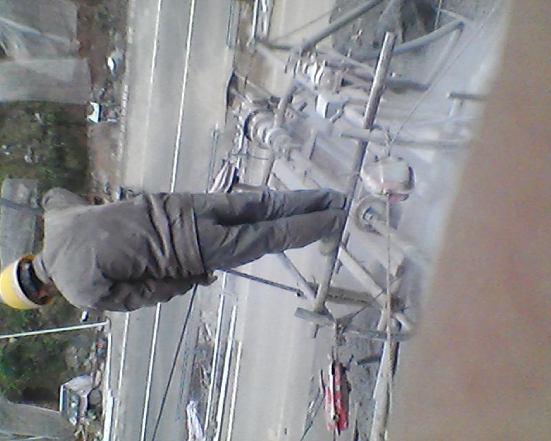 供應(yīng)承接綠化種草等護(hù)坡工程