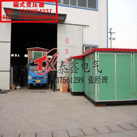 泰鑫海西路燈式箱變，海西路燈式箱變廠家，海西路燈式箱變熱銷(xiāo)