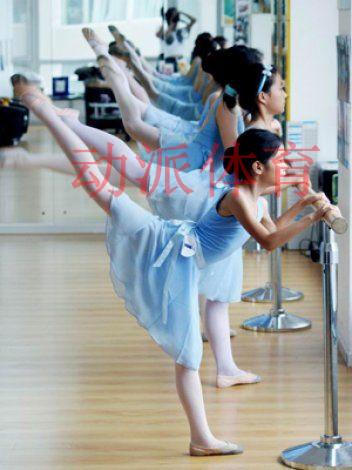 供應(yīng)小底座舞蹈把桿/移動(dòng)式舞蹈把桿/學(xué)校舞蹈把桿/健身房舞蹈把桿肋木