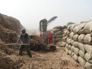 供應(yīng)奶牛飼料優(yōu)點(diǎn)