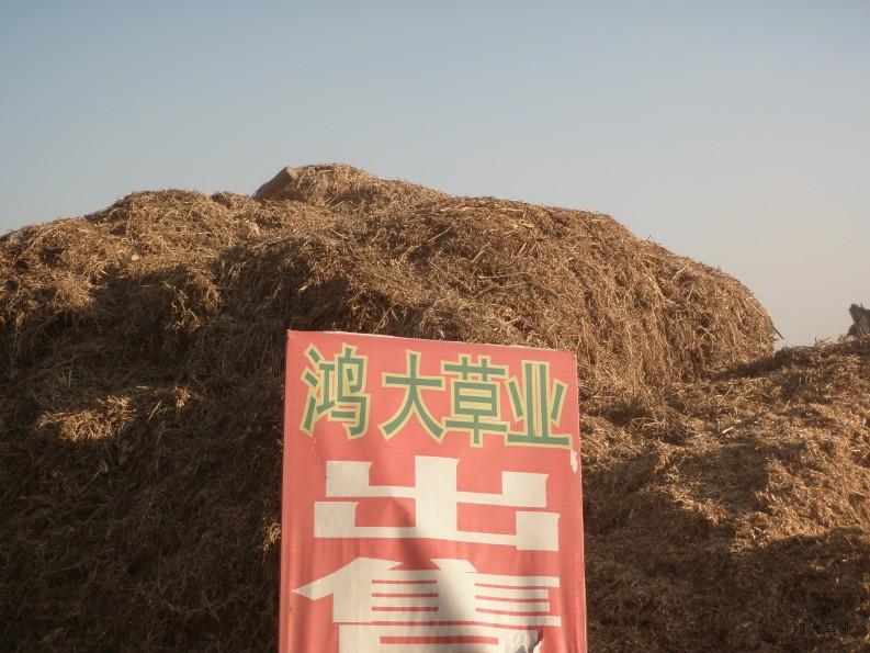 供應(yīng)哪里有優(yōu)質(zhì)養(yǎng)羊飼料