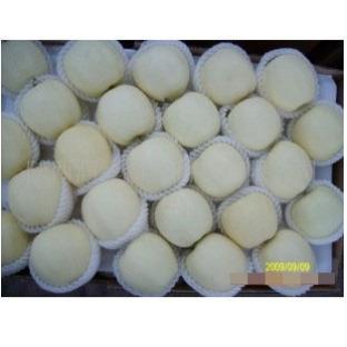 供應(yīng)山東金帥蘋果批發(fā)價格