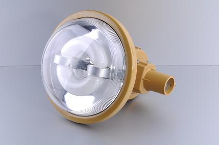 供應(yīng)福建省福州市免維護(hù)節(jié)能防爆燈價(jià)格  免維護(hù)節(jié)能防爆燈廠家