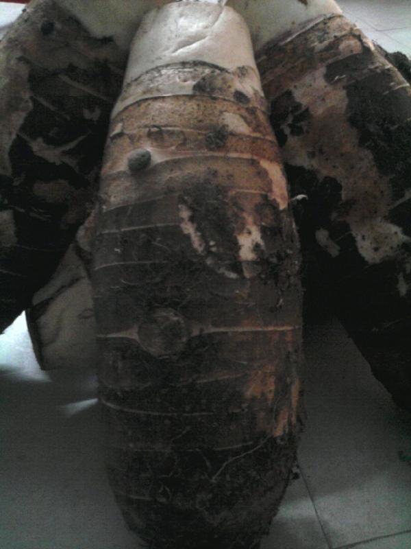 供應(yīng)廣州*產(chǎn)品