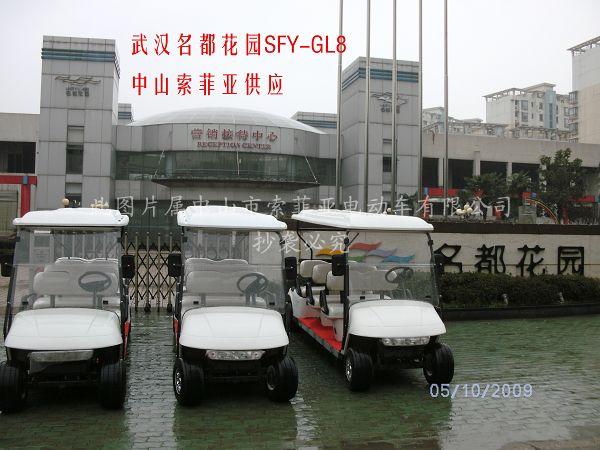 電動觀光車多少錢圖片