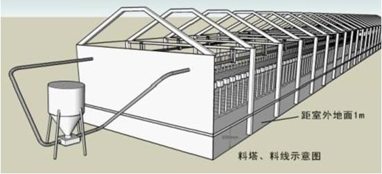 供應(yīng)江西豬場(chǎng)自動(dòng)喂料系統(tǒng)豬場(chǎng)料線母豬自動(dòng)料線