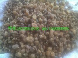 供應(yīng)一支篙草雪上一枝蒿批發(fā)價(jià)格