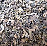供應(yīng)接骨仙桃草批發(fā)價(jià)格 優(yōu)質(zhì)接骨仙桃草批發(fā)價(jià)格