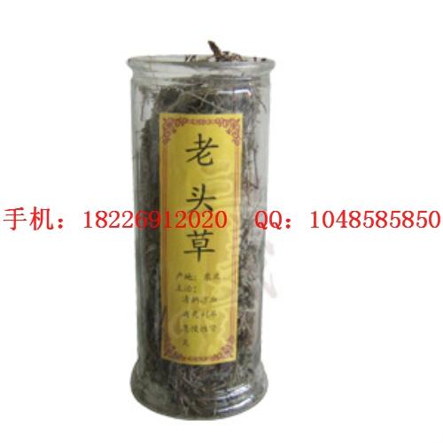 供應(yīng)石蟬草批發(fā)老頭草批發(fā)鹿茸草批發(fā)