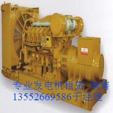 發(fā)電機出租圖片/發(fā)電機出租樣板圖 (2)