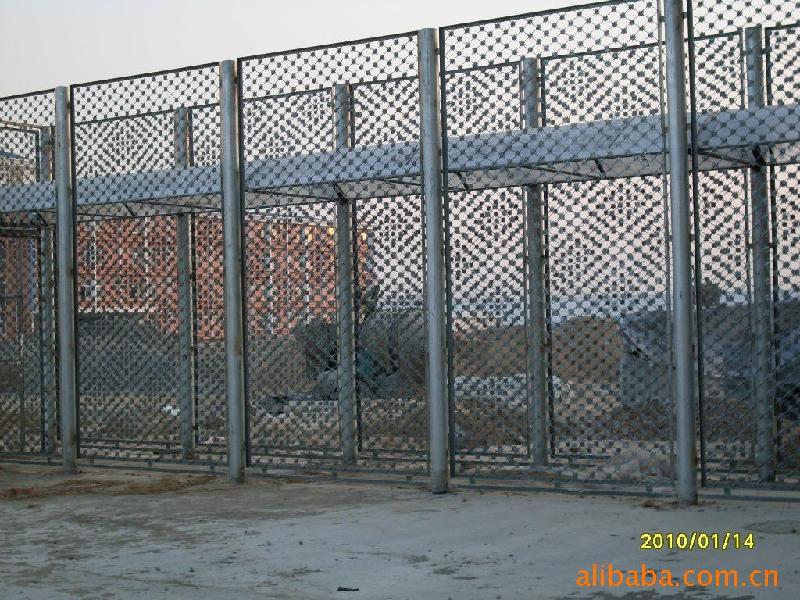 供應(yīng)黑龍江省生產(chǎn)梅花刺隔離網(wǎng)廠家價(jià)格