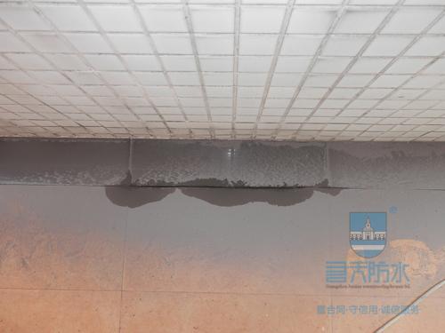供應(yīng)蘿崗防水材料公司蘿崗補(bǔ)漏公司