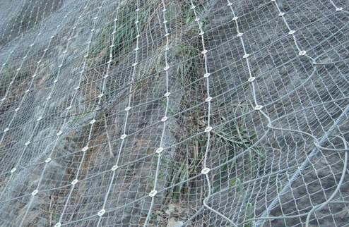 主動邊坡防護(hù)網(wǎng)廠家圖片