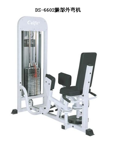 供應(yīng)DS-6602腿部外彎機，腿部外彎機，健身房腿部外彎機