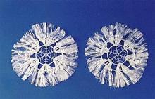 供應(yīng)使用效果好組合填料祥隆組合填料的價(jià)格使用方法掛膜效果