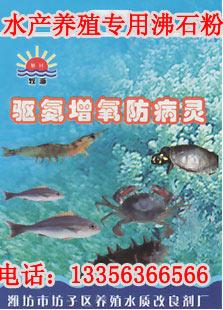 供應飼料級沸石粉飼料添加沸石