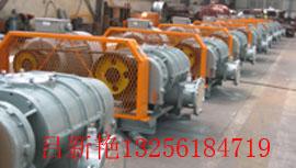 循環(huán)羅茨鼓風(fēng)機(jī)