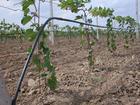 供應(yīng)供應(yīng)河北果樹滴灌系統(tǒng)丨*惠