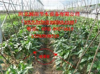 供應河北果樹滴灌管批發(fā)|廠家優(yōu)惠大